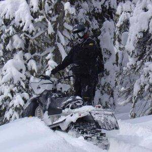 Powder at Trestle