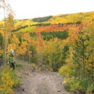 North Slope Fall riding  2008