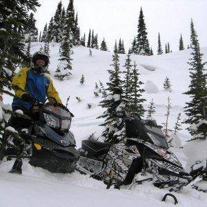 tree ridding in Lang creek