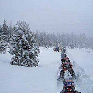 Medicine Lake ride after a sweet snow storm. "Powder"