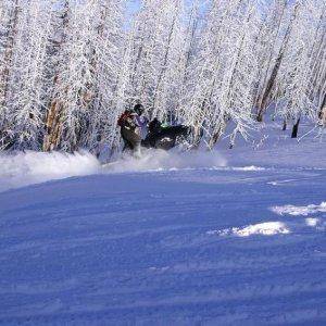 Playin in the powder