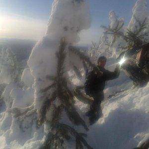 sledding in IP 3 me stuck in the trees.