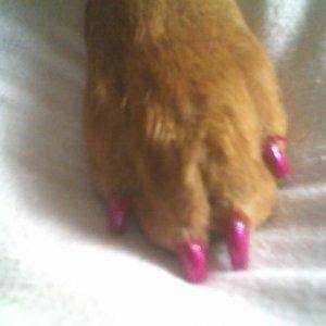 Cassidy pink nails