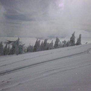 Mt. spokane 2 3 2010