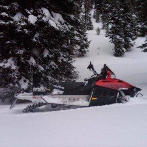 my sled for 09-10