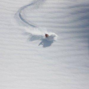 endless pow