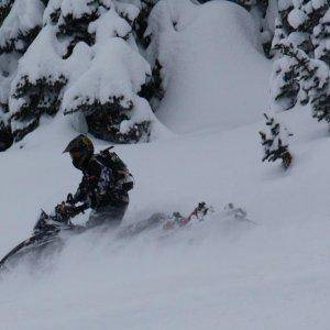 Playin' in the Pow