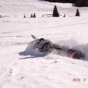 Bighorns on 2/14/10