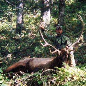 elk 2005