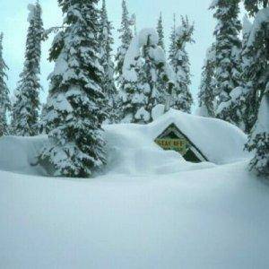 Frisby cabin, Revelstoke