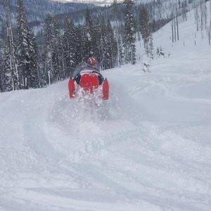 Cindy in McCall