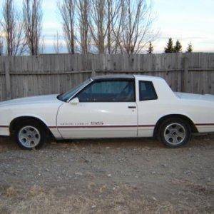 87 monte carlo ss t-top 4 sale