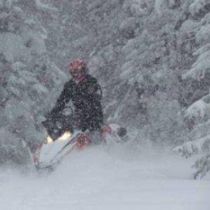 tog snow thru trees