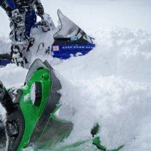 view of sleds when we stopped