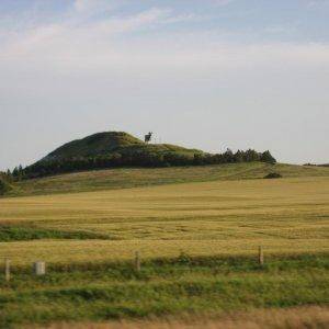 The big cow of North Dakota ... and that's no bull.