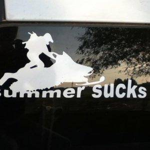 Summer Sucks