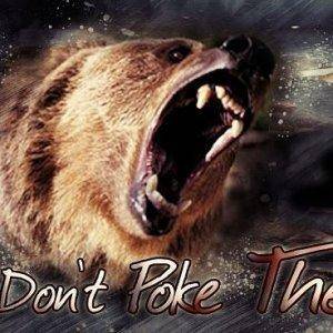 Don't poke the Bear