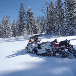 2013 - 2014 Patrol Sled