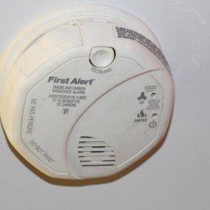 Mirage Trailer Extreme Snowmobile Blackout High Mark Smoke Detector