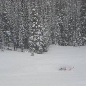 Clemina in Valemount, BC (Hillclimb)