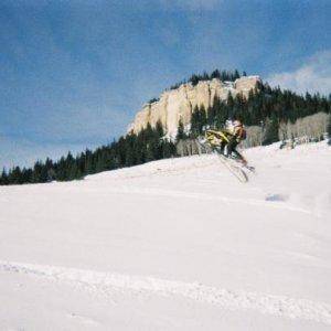 Bighorns