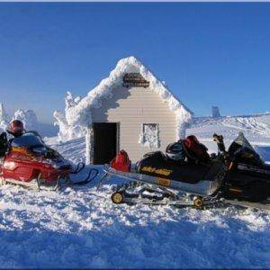 Grizzly cabin