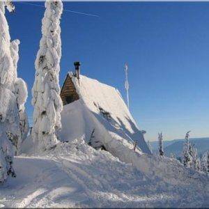 Crowfoot cabin