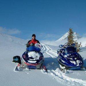 Frequent flyer Horseshoe bowl