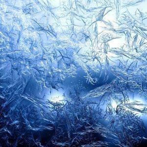 Frost wallpaper 10301408