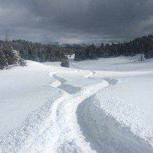 cooke city MT.