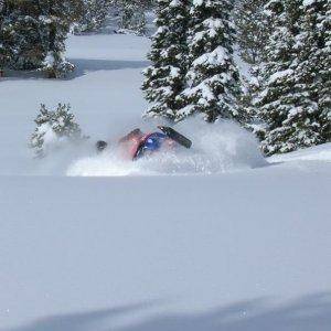 Somewhere in Western Montana ..... 36+ inches of fresh =)