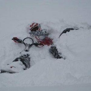 Nobblets ride 1 28 09 
Marc's snow plant, I can't get up.