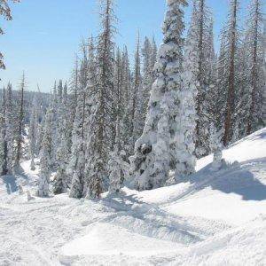 Powder climbs