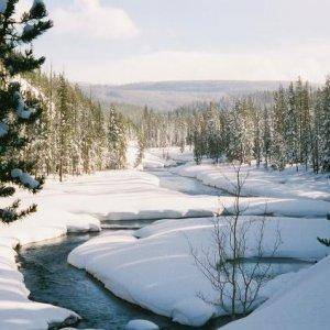 Creek in the West Yellowstone area