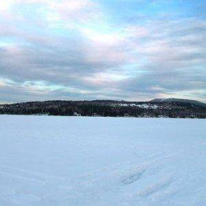 Sled tracks on the lake