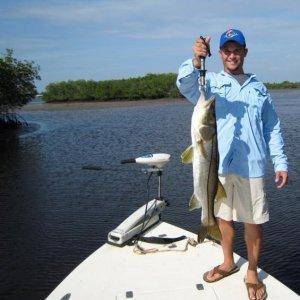 A day on the flats in the mangroves. This 32" snook was the bigest out of about 40 caught