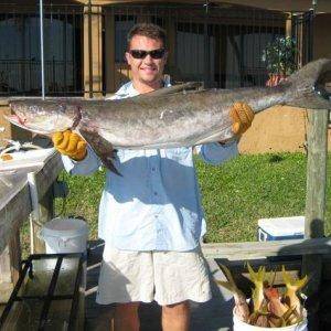 My 48", 32 pound Cobia