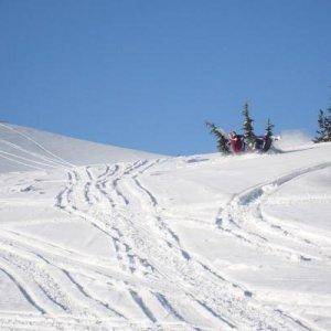 2 feet of fresh powder with a $300 sled=cheep fun