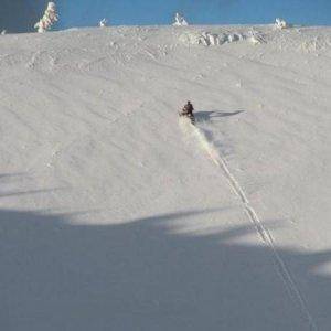 Mel Climbing Kwohl bowl