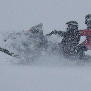 Other sled broke down.  Took advantage of the snow.  Fun times.