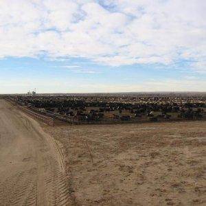 Pete's feedlot in NE.