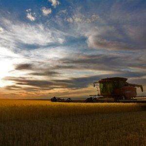 Harvest 2008, Glasgow MT