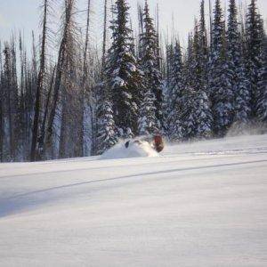 Playing in the powder