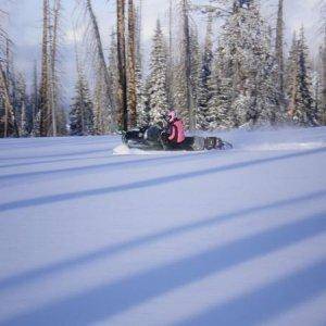 Carvin' in some powder.