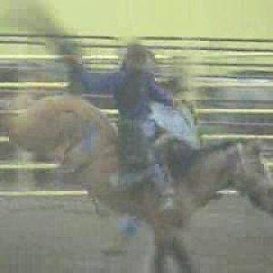 saddle bronc