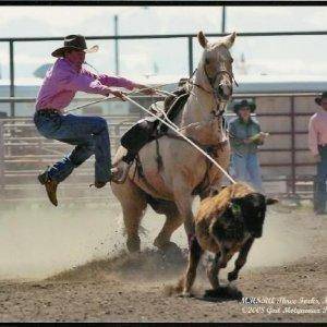 three forks calf roping