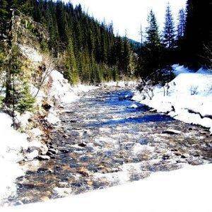 Marble Creek 4-5-09