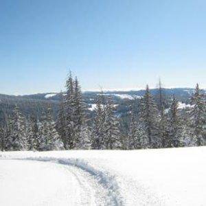 What a view from the untracked area