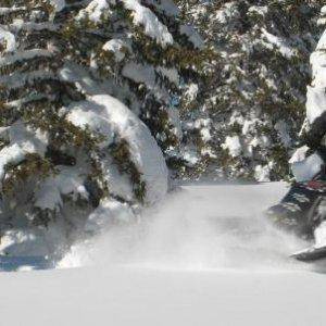 Andris and Spence riding through a beautiful area