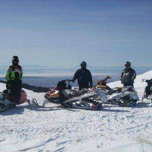 On top of Bald Mountain-Bighorns